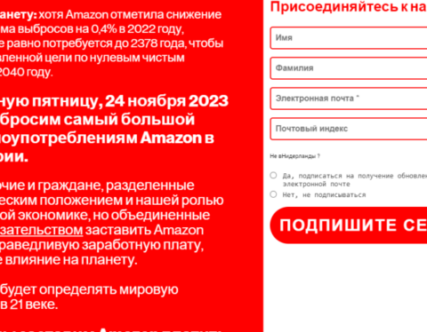 скриншот с сайта https://makeamazonpay.com/