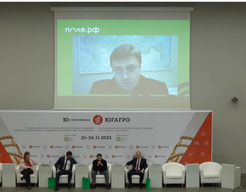 скрин из видео Поле рф https://www.youtube.com/watch?v=Soy5vSlJ_zg