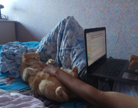 котэ