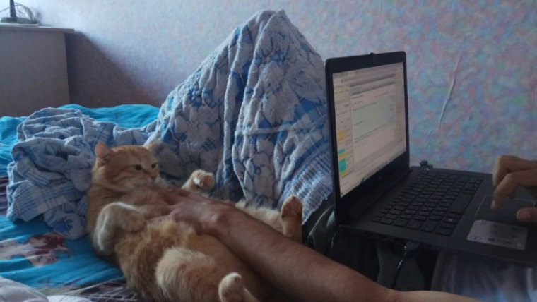 саша котэ