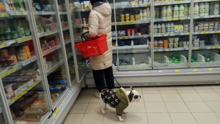 покупатель