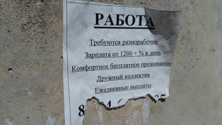 работа