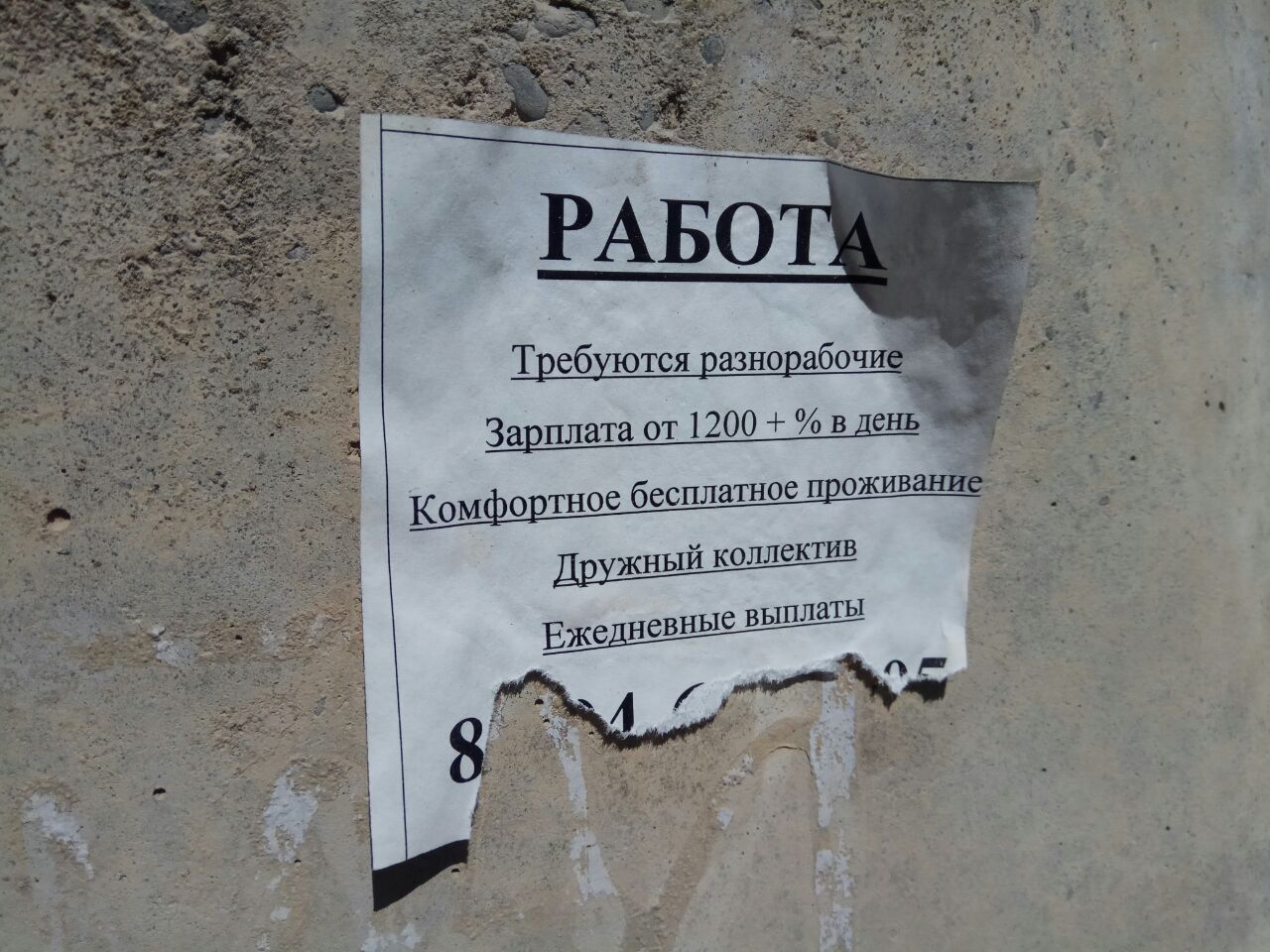работа