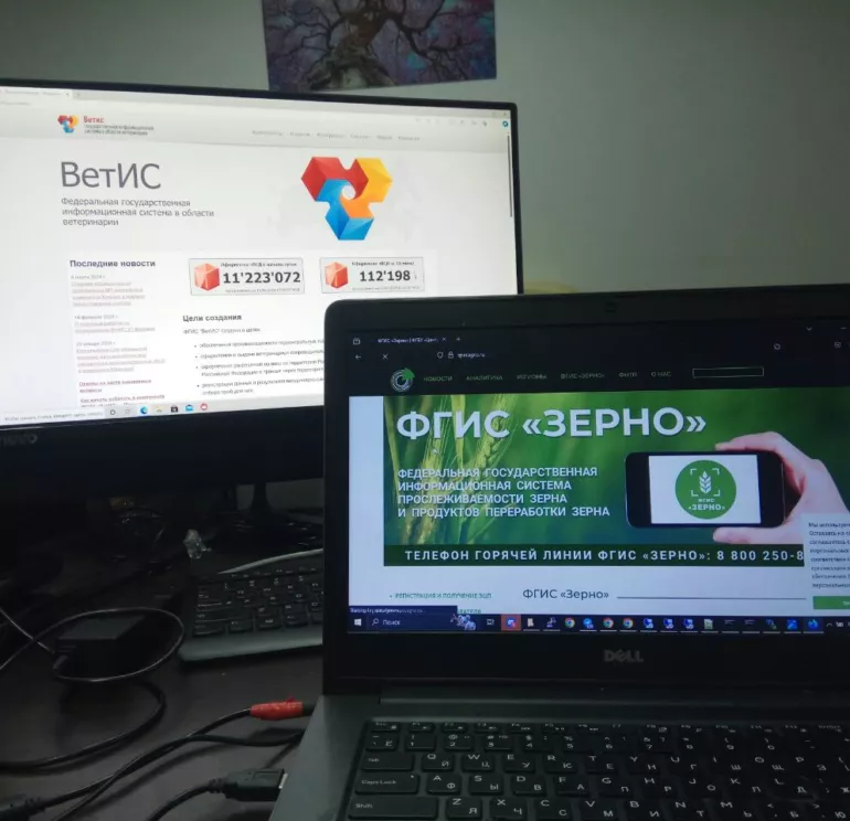 сдиз