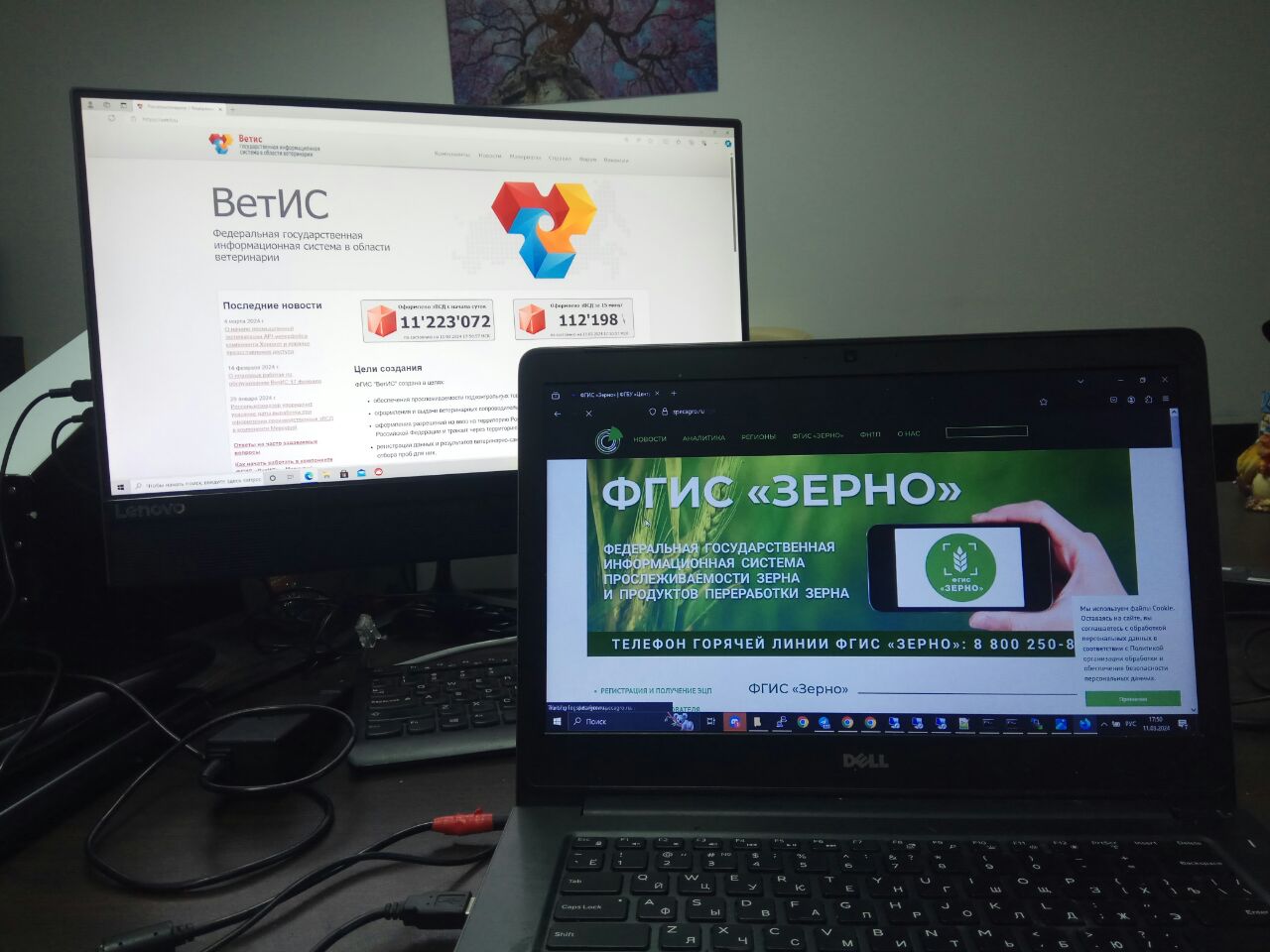 сдиз