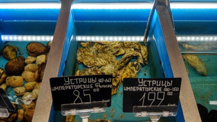 устрицы