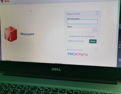 ветис мерк