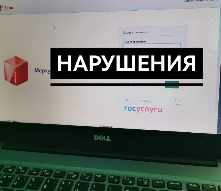 в меркурий