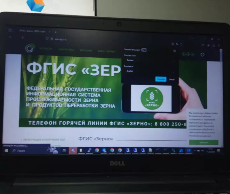 зерно нарушения