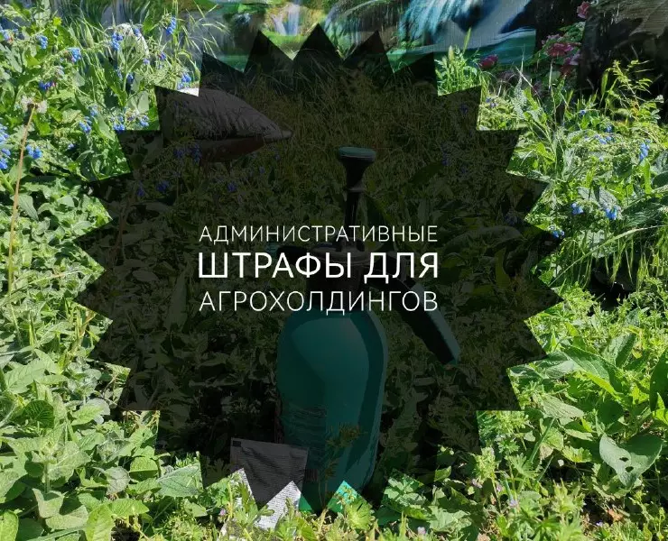 агрохолдинг