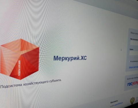 тысяча нарушений
