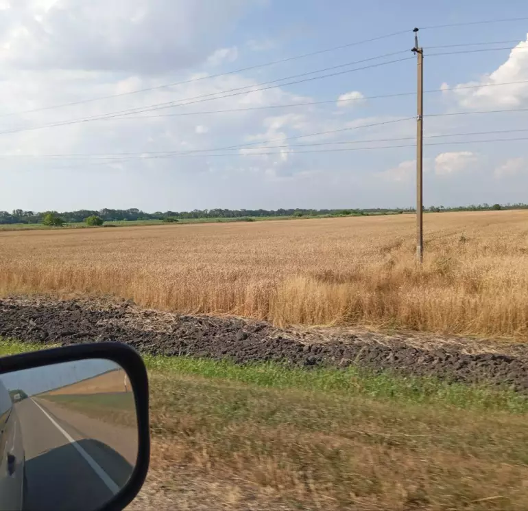 экспорт Россия