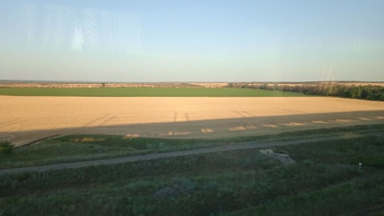 зерно