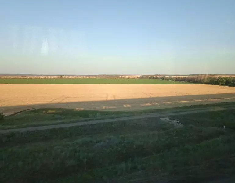 зерно