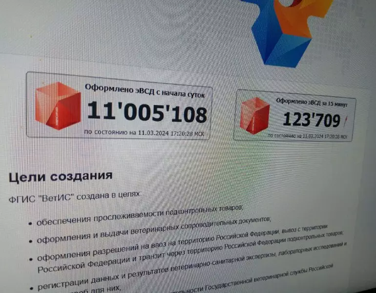 эвсд ошибки