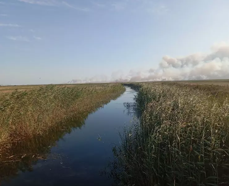 культуры