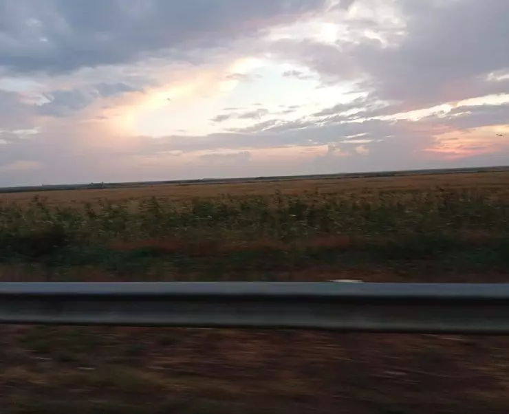 инспектор
