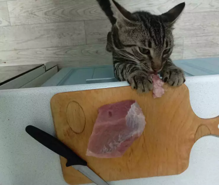 мясо