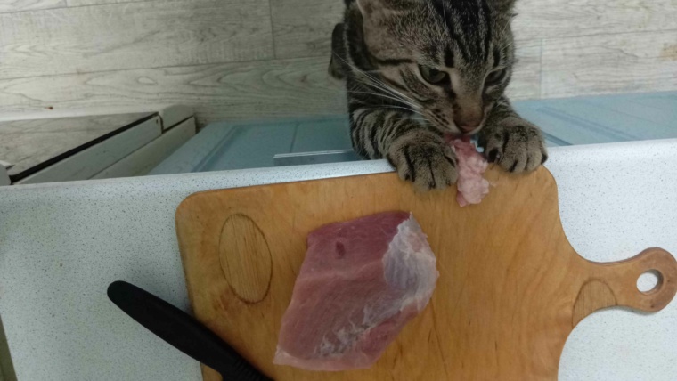 свежее мясо