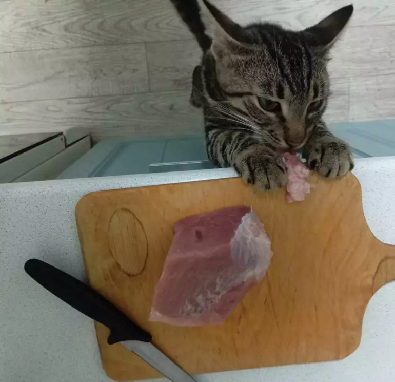 мясо