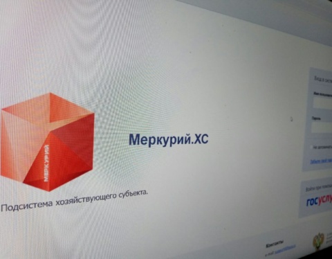 меркурий хс 1