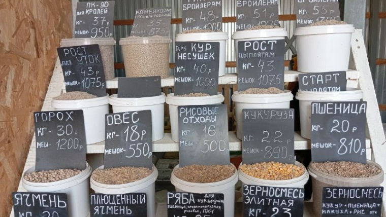зерно продажа