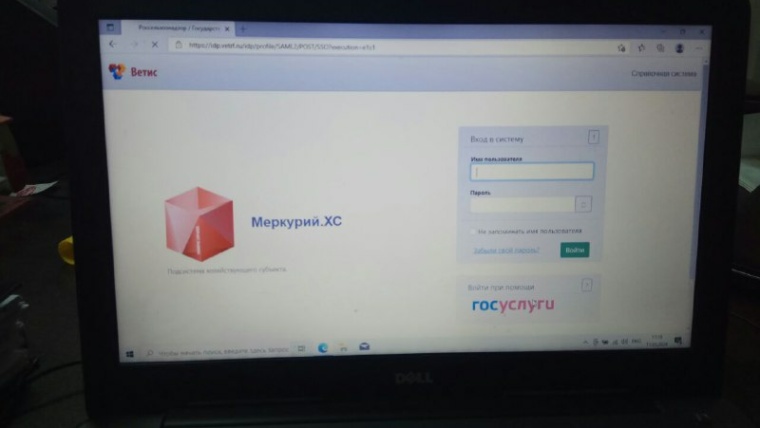 мерк хс 1