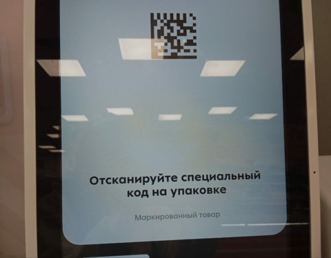 чипсов 1024x771 1