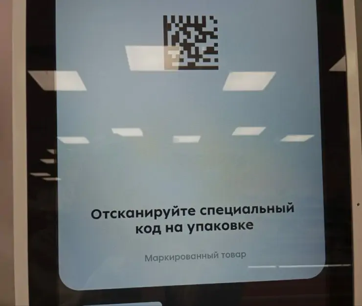 чипсов 1024x771 1