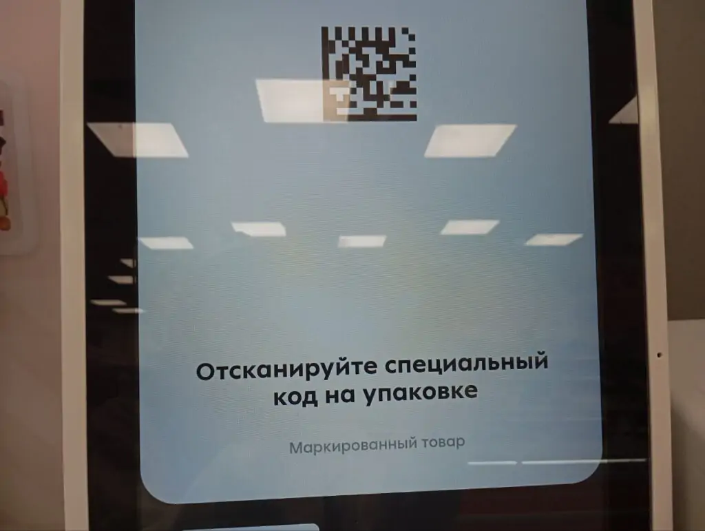 чипсов 1024x771 1