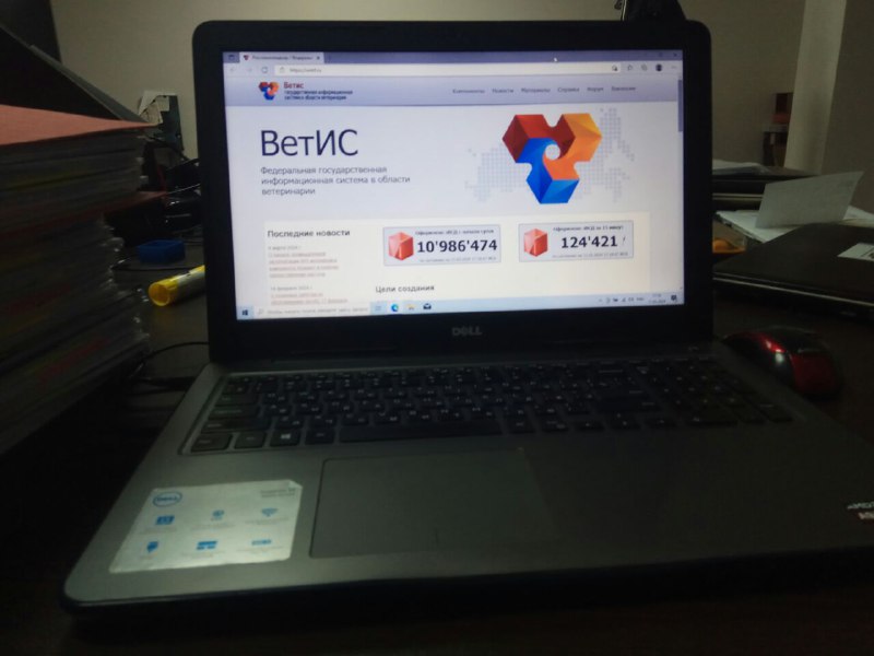 ветис критерии 1