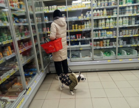 цены 1024x768 1