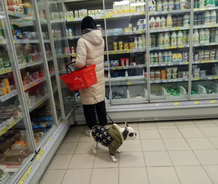 цены 1024x768 1