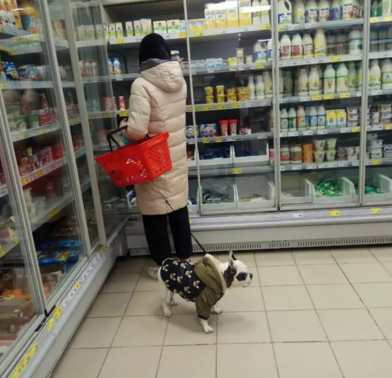 цены 1024x768 1
