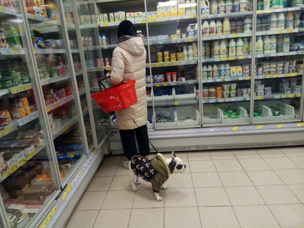 цены 1024x768 1