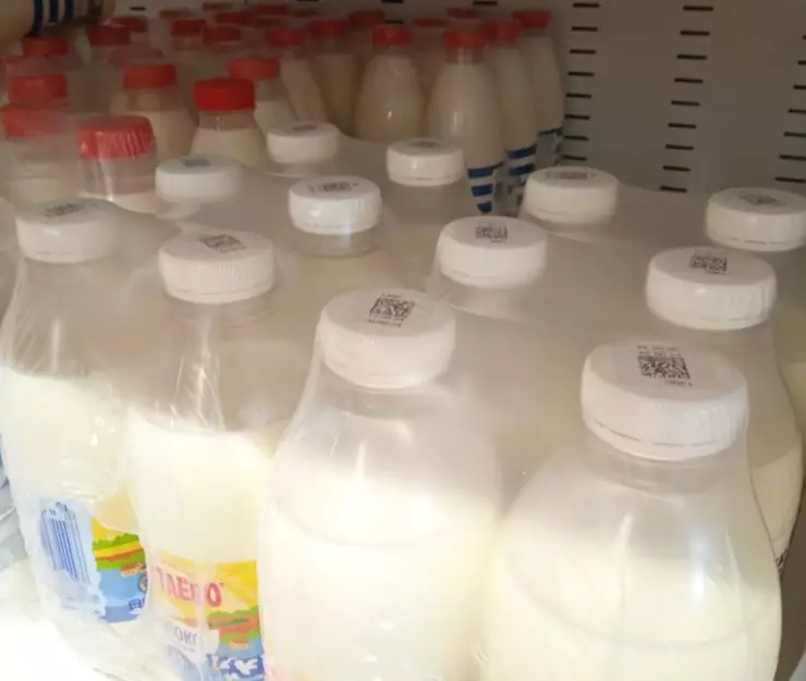 продукция рост e1739963790459 1024x717 1