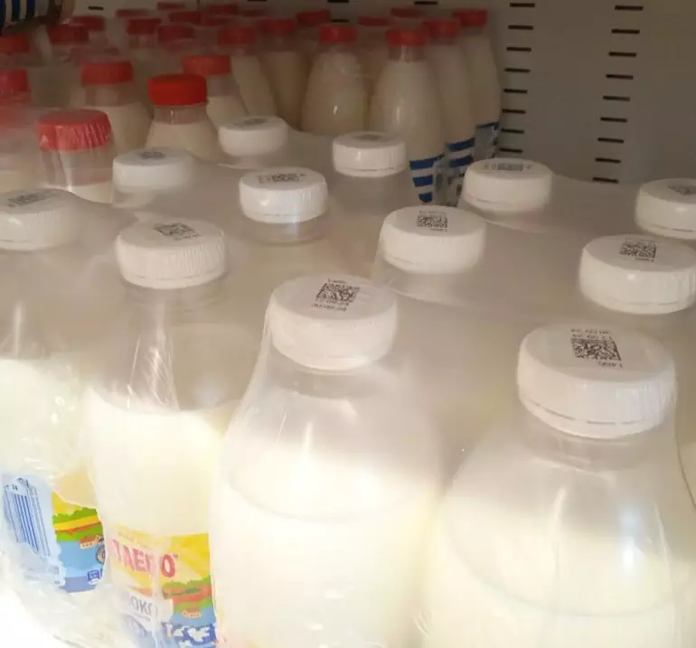 продукция рост e1739963790459 1024x717 1