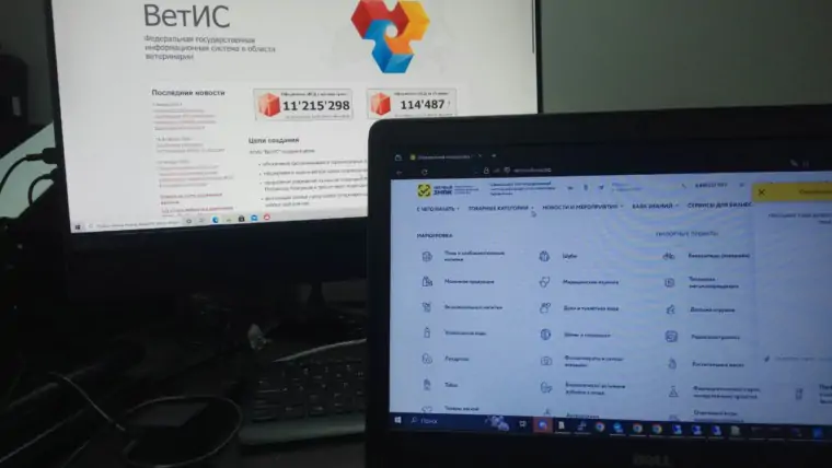 5440783533586112096