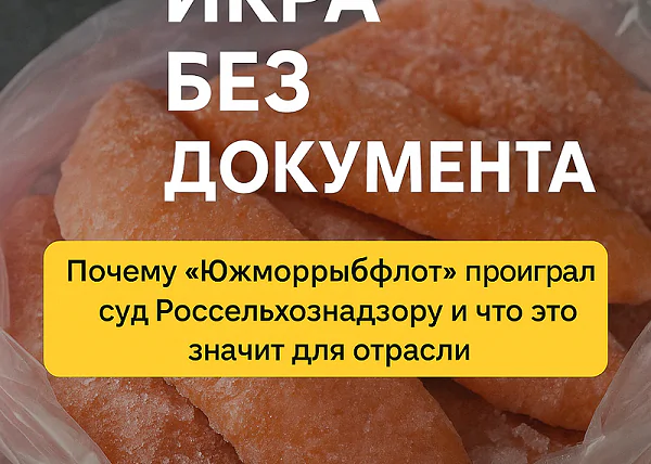 фото сделано с помощью gigachat_bot