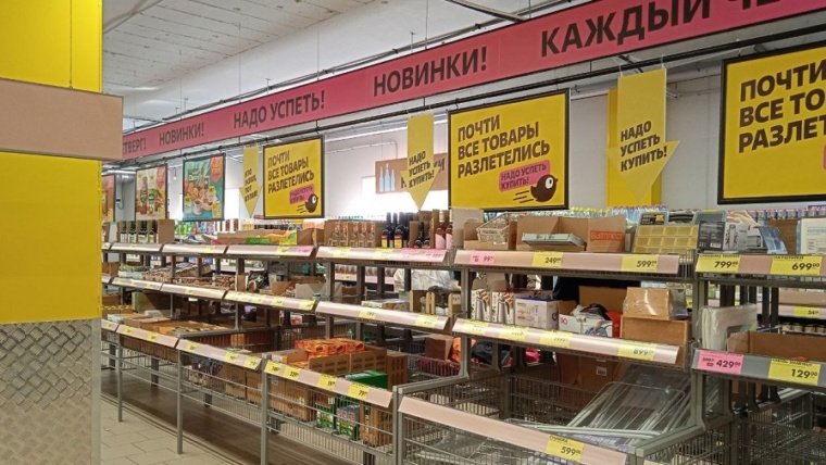 чижик новинки