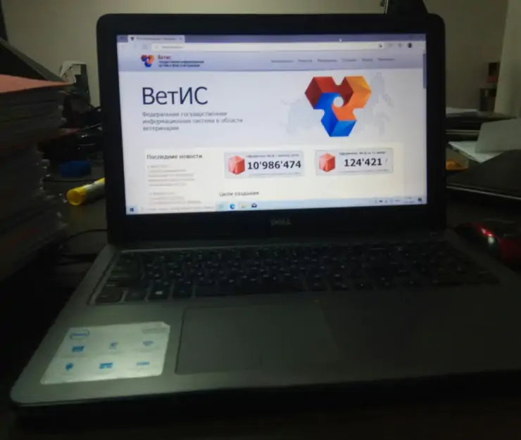 5440783533586112115