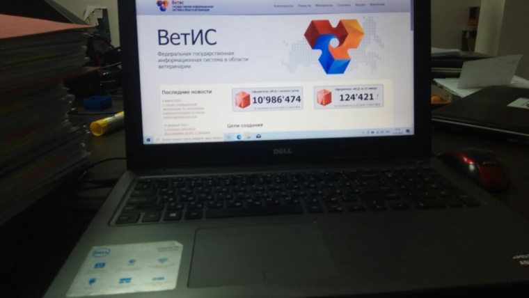5440783533586112115