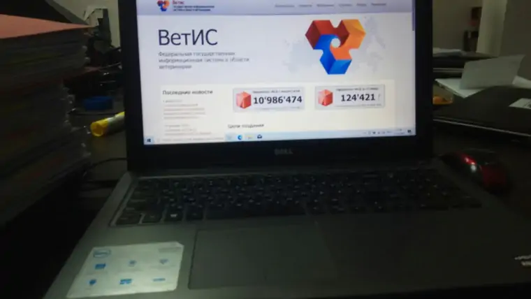5440783533586112115