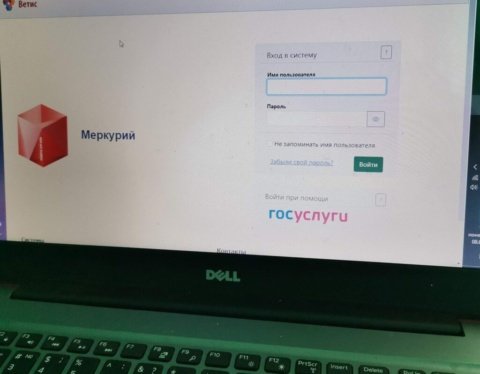 ветис мерк 1024x850 1