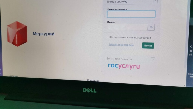 ветис мерк 1024x850 1