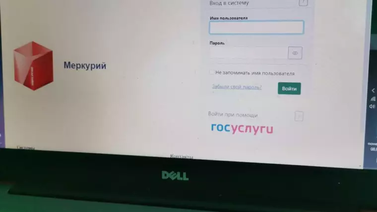 мерк 1024x850 1