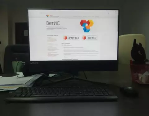 эвсд 1024x768 1