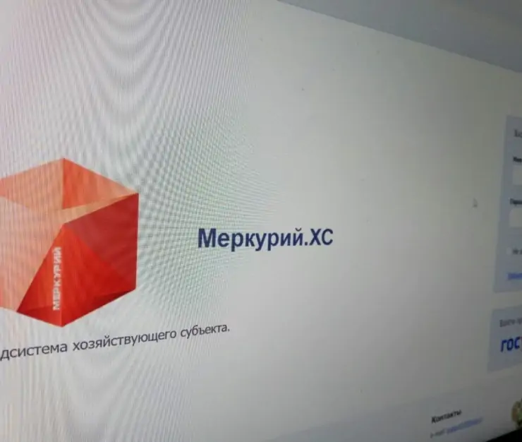 ветис 1024x768 1