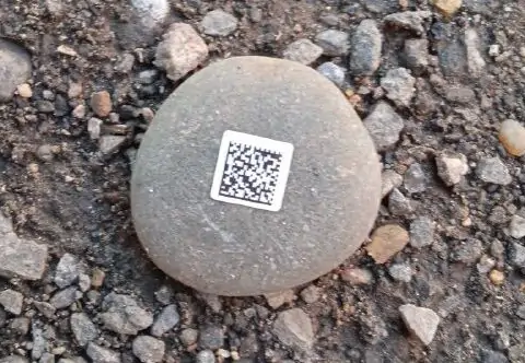 5357285237593339218 e1750227815912