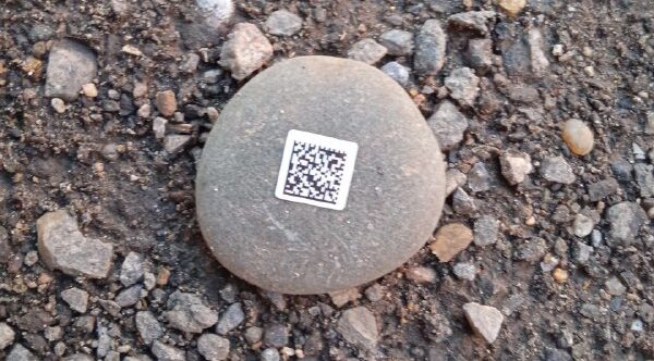 5357285237593339218 e1750227815912